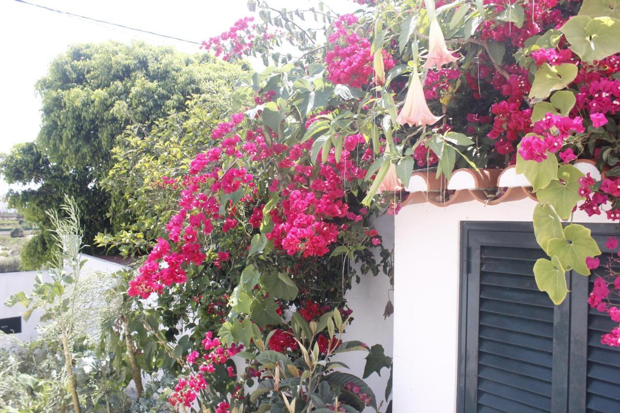 Casinha Da Andorinha - Ericeira Villa Exterior photo